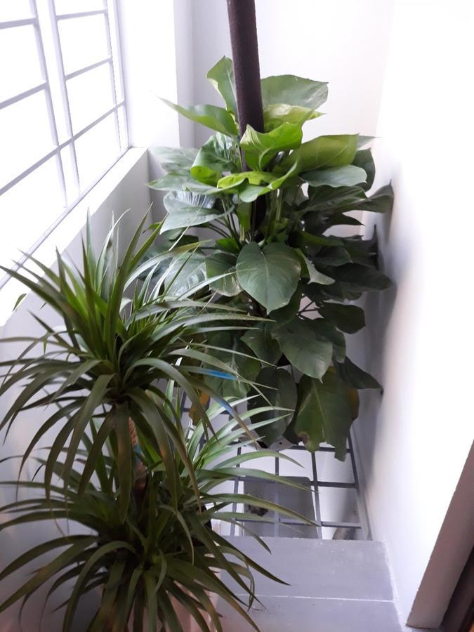 Blue Home Serviced Apartment Hanoi Zewnętrze zdjęcie